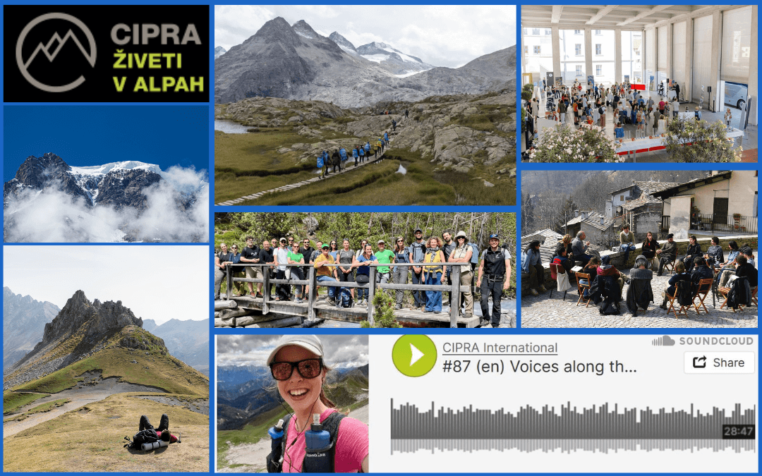 Kolaž fotografij, ki prikazujejo vsebino 4. številke revije alpMedia Newsletter 2025.