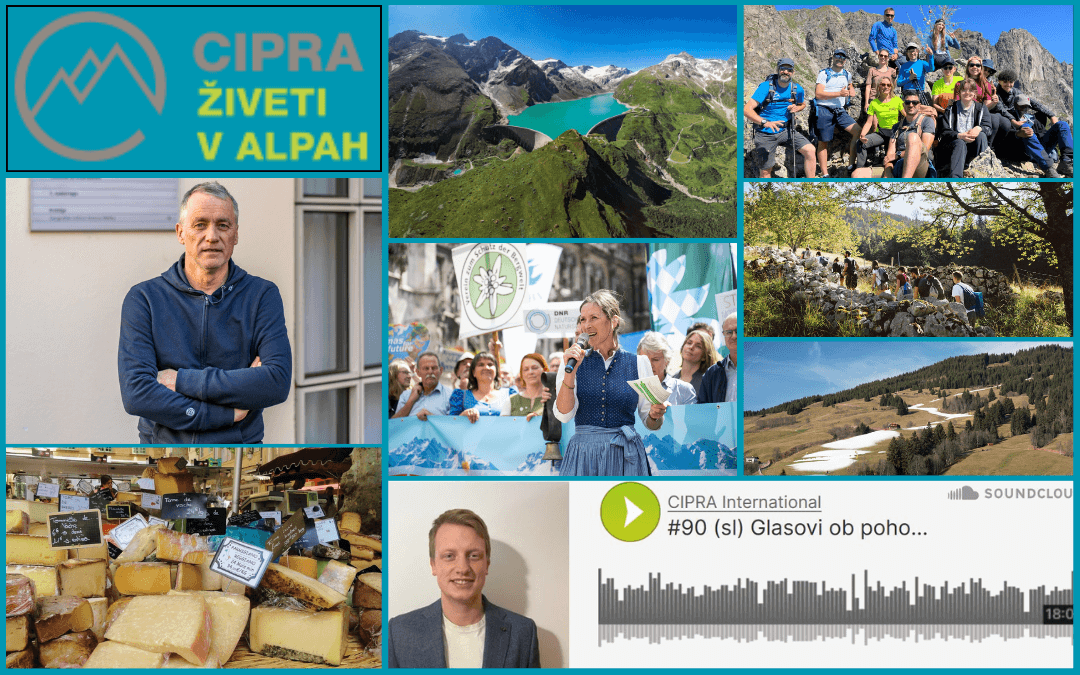 Kolaž fotografij, ki prikazujejo vsebino 6. številke revije alpMedia Newsletter 2025.