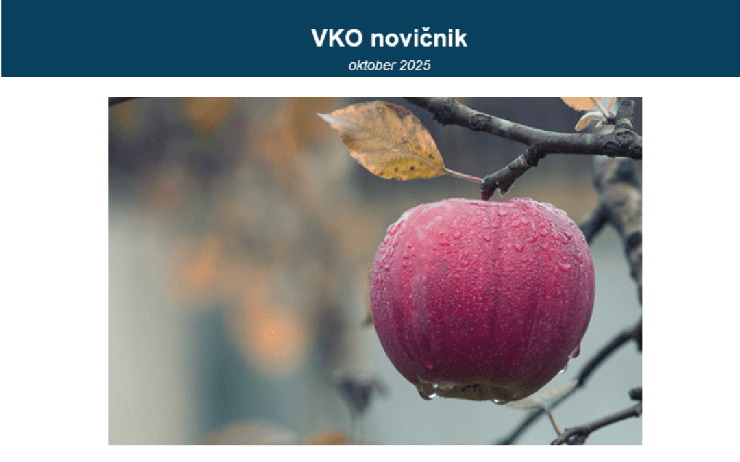 VKO_novicnik-102025 Naslovna slika VKO novičnika oktober 2025, na kateri je fotografija poznega jabolka na jesenskem drevesu.