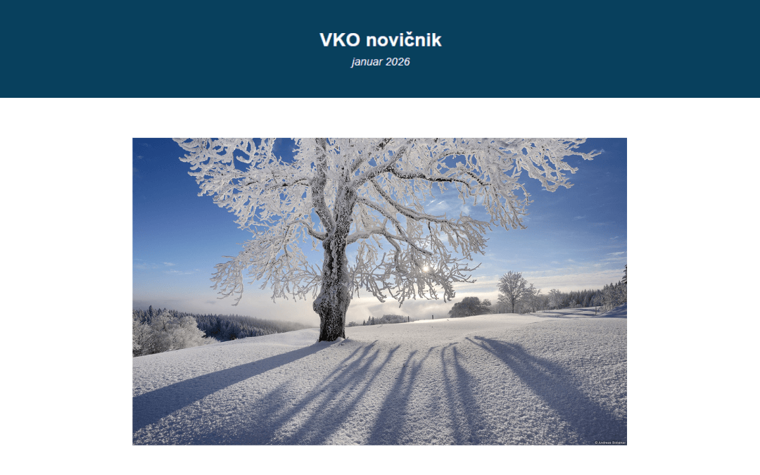 Naslovna slika VKO novičnika januar 2026, na kateri je zasnežena pokrajina z zasneženim drevesom.