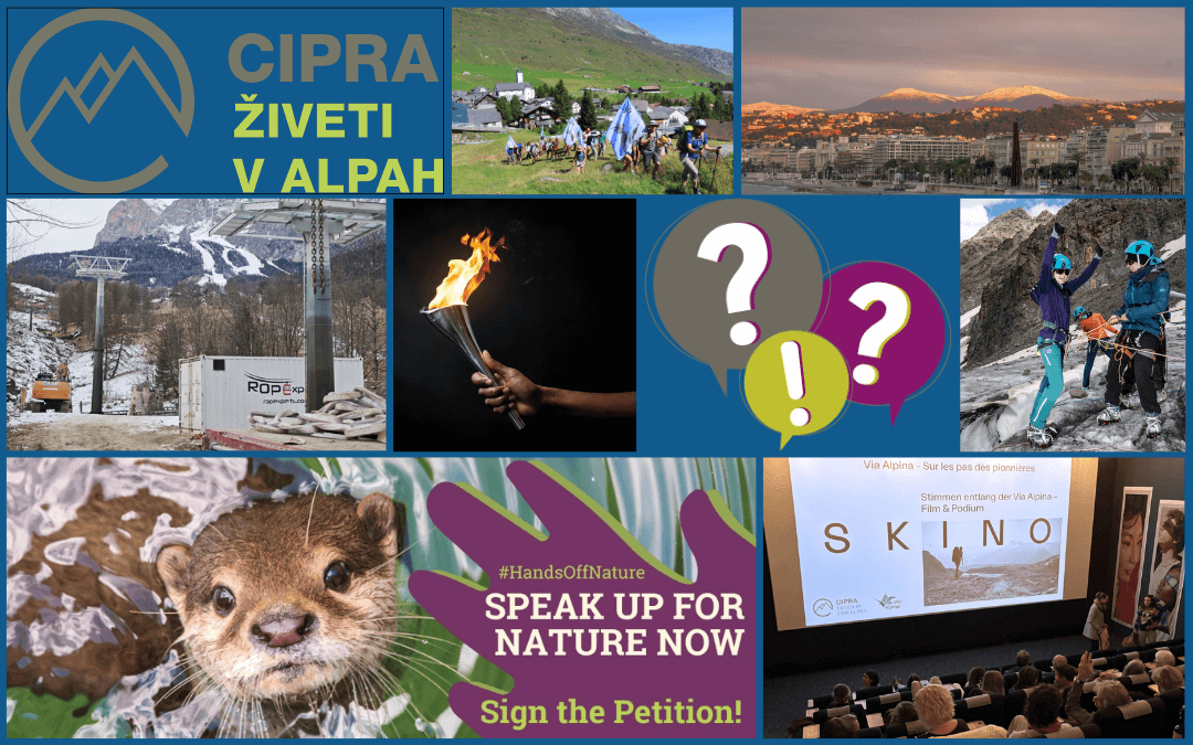 Kolaž fotografij, ki prikazujejo vsebino 1. številke revije alpMedia Newsletter 2026.