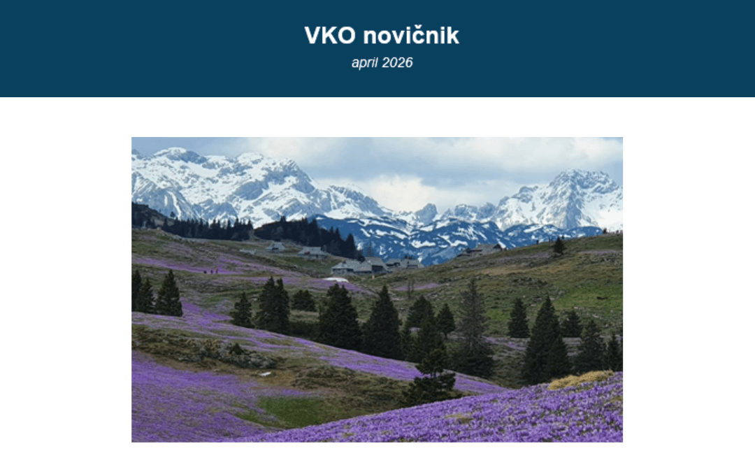 Naslovna slika VKO novičnika april 2026, na kateri je travnata planina vsa vijolična od cvetočih žafranov.