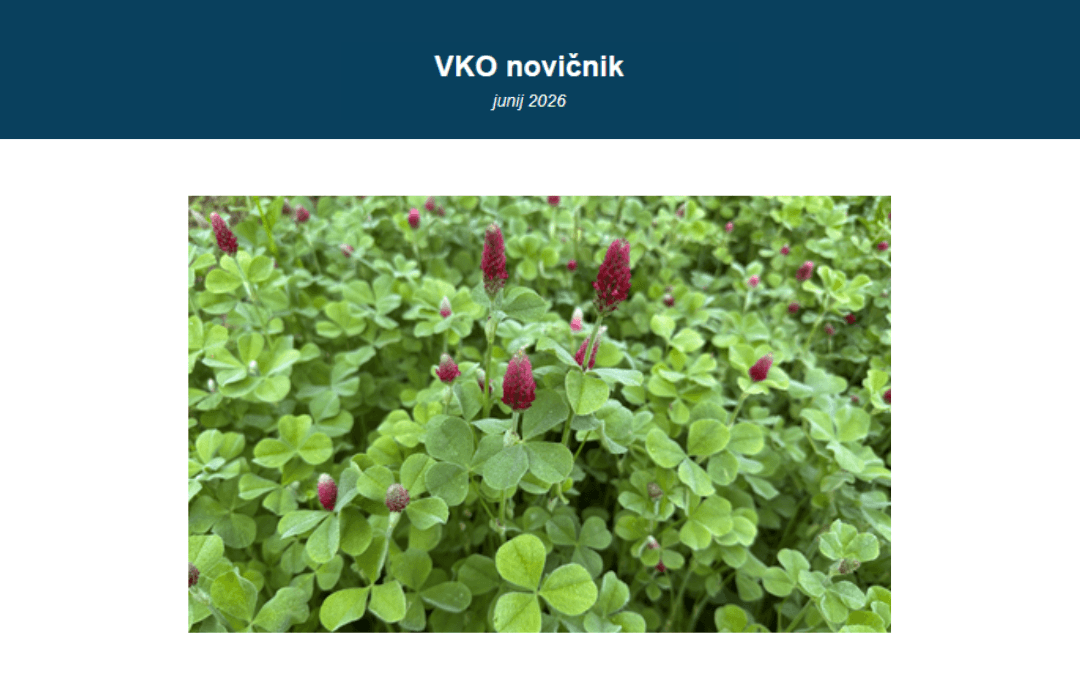 Naslovna slika VKO novičnika junij 2026, na kateri je polje cvetoče detelje.