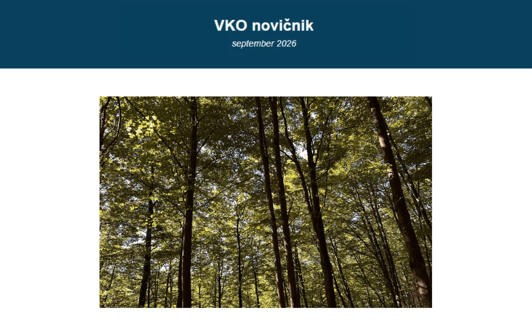 VKO_novicnik-092026 Naslovna slika VKO novičnika september 2026, na kateri so gozdna drevesa.