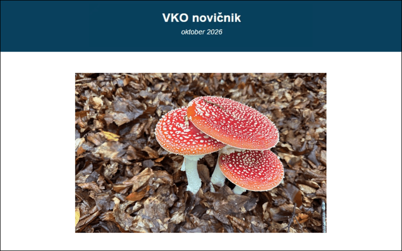 Oktobrski VKO novičnik: aktualne vsebine s področja vseživljenjske karierne orientacije, razvoja kompetenc in zaposlovanja